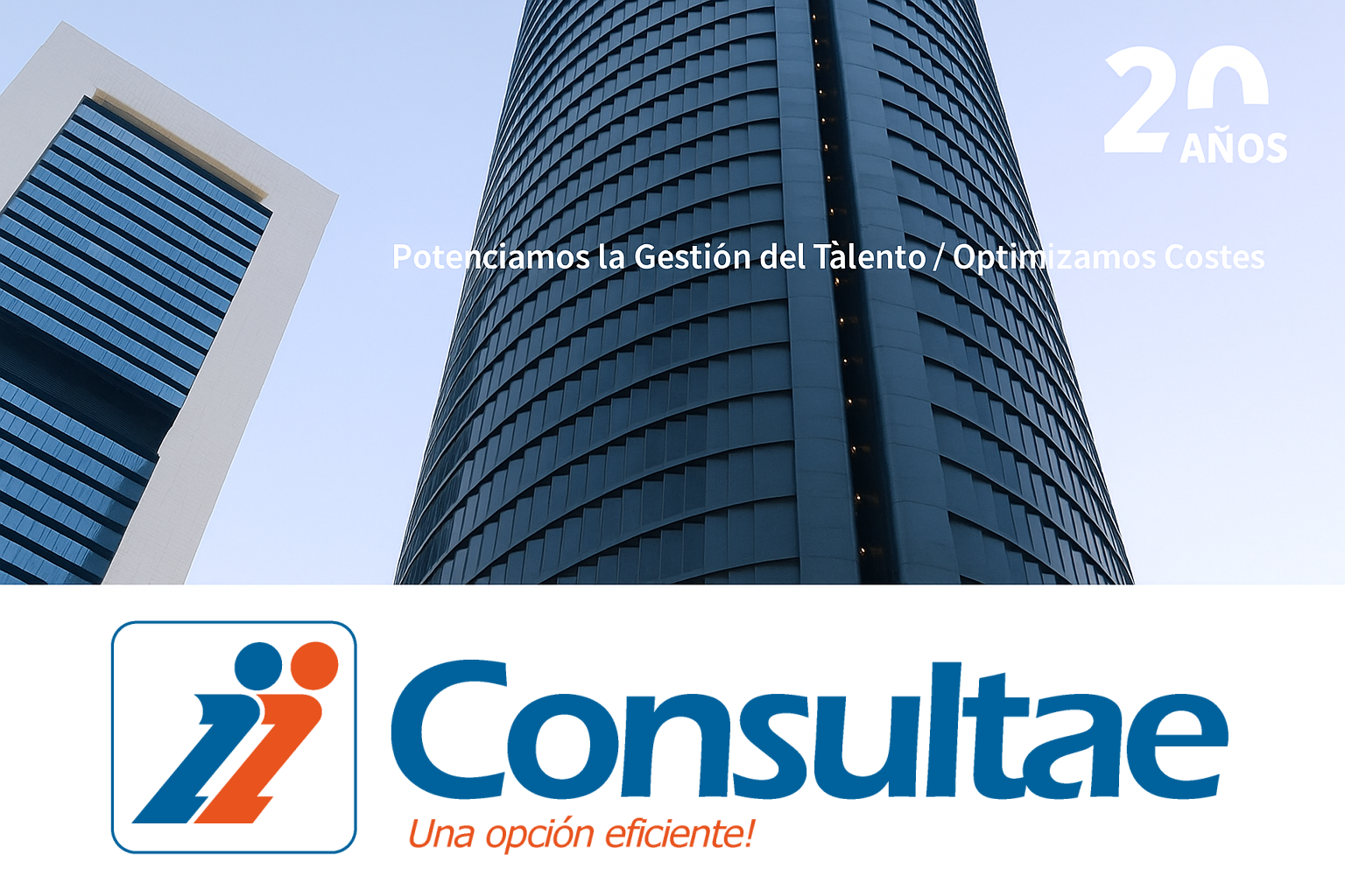 New banner Consultae